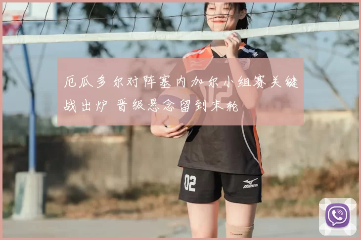 厄瓜多尔对阵塞内加尔小组赛关键战出炉 晋级悬念留到末轮