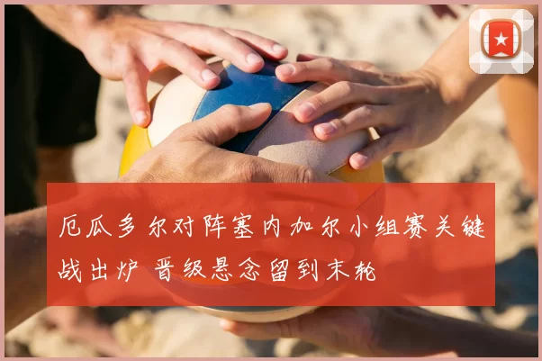 厄瓜多尔对阵塞内加尔小组赛关键战出炉 晋级悬念留到末轮